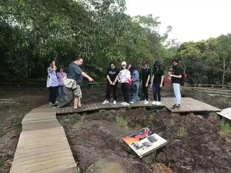 文理全才的潘智琳同学又获得金奖了!图片_63 文理全才的潘智琳同学又获得金奖了!图片_63