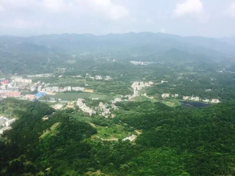 别样实践别样情 ——记初中部六年级大别山社会实践图片_511