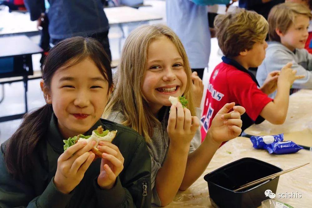 Beyond Classroom Walls: Learning in Action for Mandarin Learners图片_31