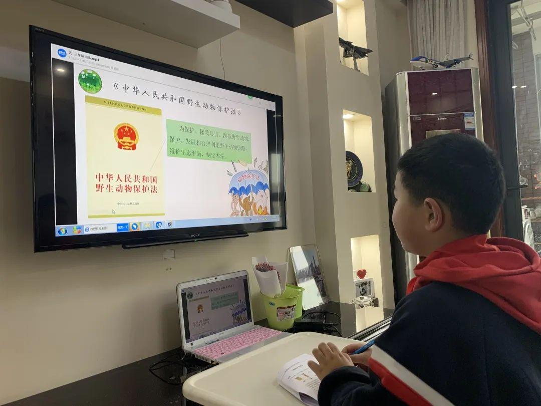 玉琢成器 人学知义——记尚德航头校区之“云”端战“疫”图片_9223372036854775807 玉琢成器 人学知义——记尚德航头校区之“云”端战“疫”图片_9223372036854775807