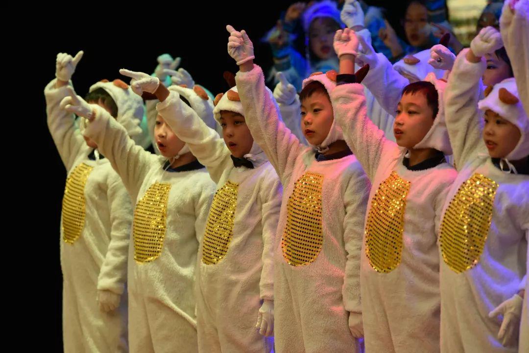 万源冬季音乐会 Wanyuan Winter Concert图片_255 万源冬季音乐会 Wanyuan Winter Concert图片_255