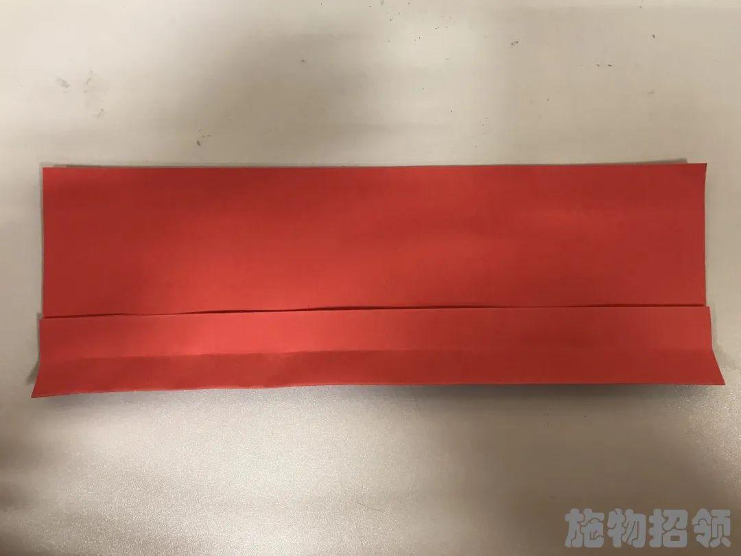 【施物招领】少年，你想做“飞猪”吗？图片_16383