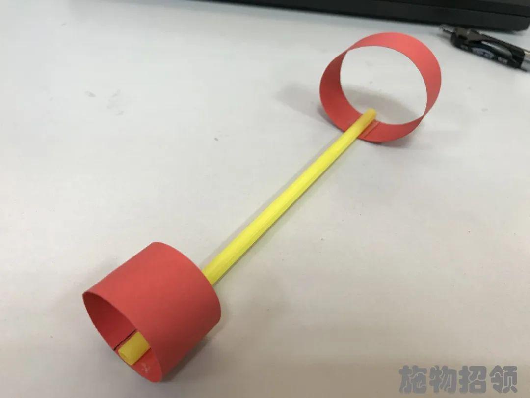 【施物招领】少年，你想做“飞猪”吗？图片_268435455