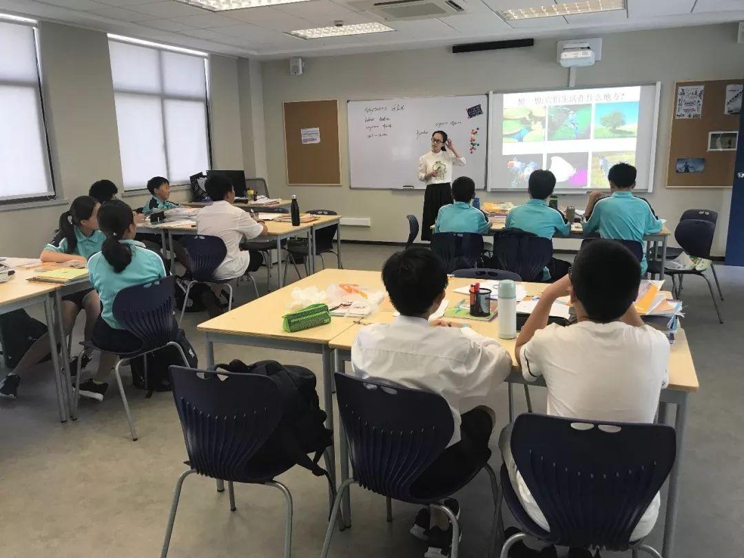 一周回顾|宁波诺德安达教与学4-7年级 Learning and Teaching at NAS Ningbo图片_31 一周回顾|宁波诺德安达教与学4-7年级 Learning and Teaching at NAS Ningbo图片_31