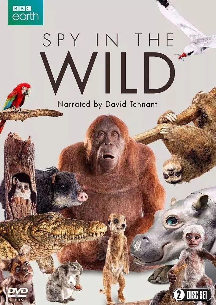 Life education: 15 nature documentaries to watch图片_1023