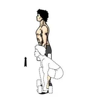 课程 |【体育 第四周】——八年级居家运动(四)图片_31 课程 |【体育 第四周】——八年级居家运动(四)图片_31