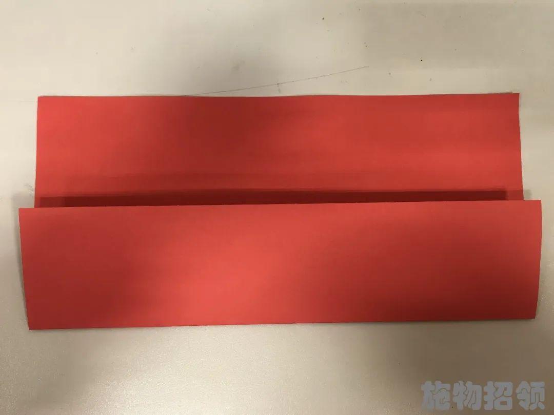 【施物招领】少年，你想做“飞猪”吗？图片_1023