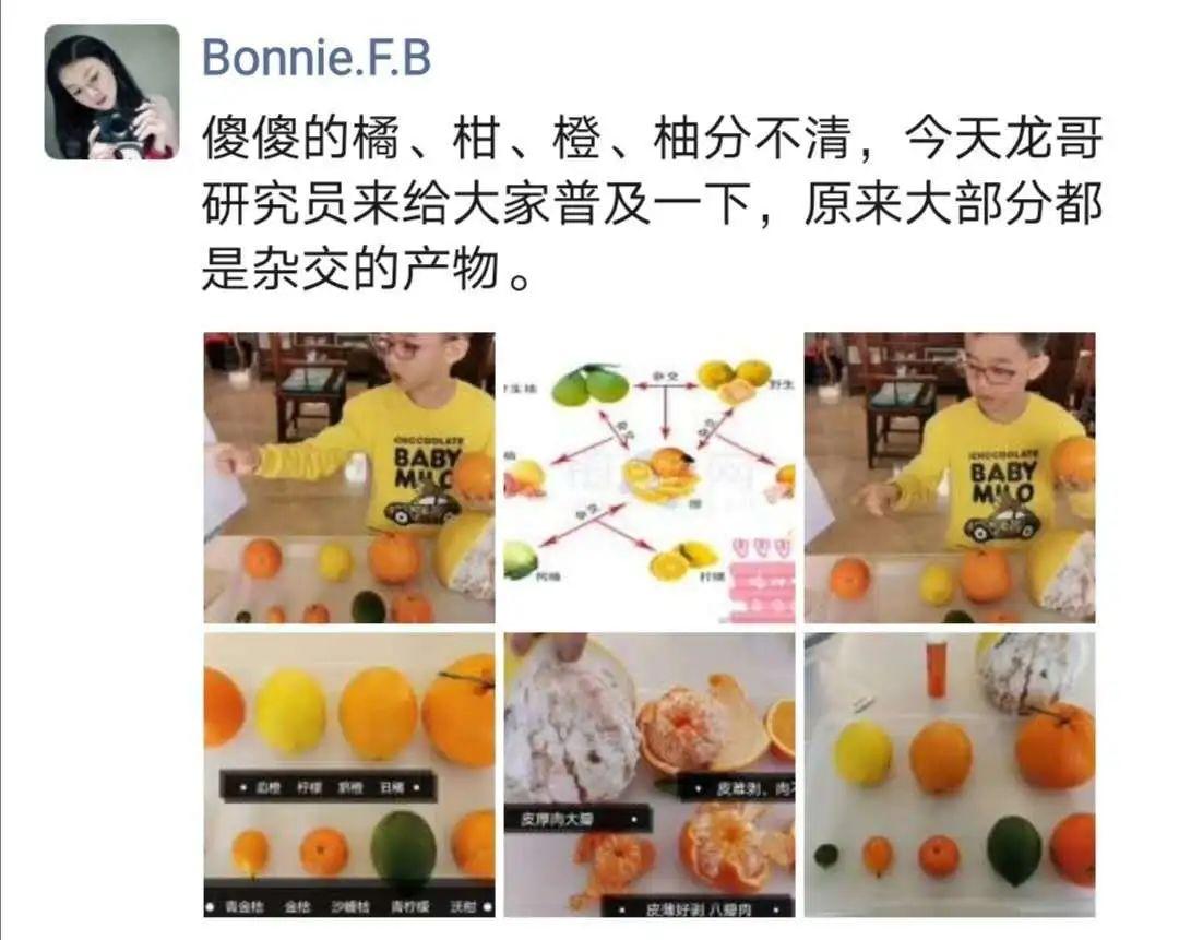 【家长有意思】牵一只蜗牛去散步图片_32767 【家长有意思】牵一只蜗牛去散步图片_32767