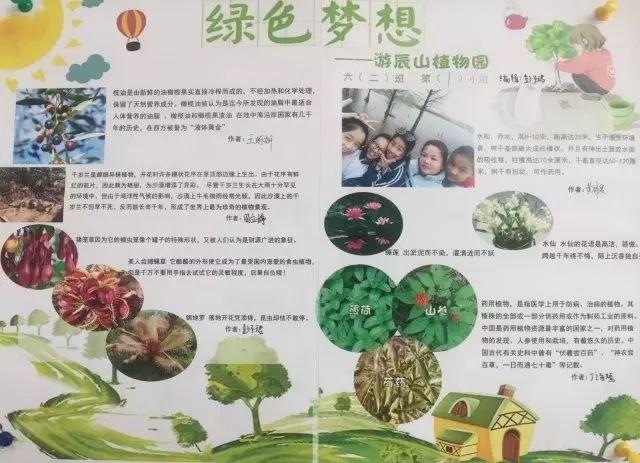 春季行走课程——上海上大附外中图片_4398046511103