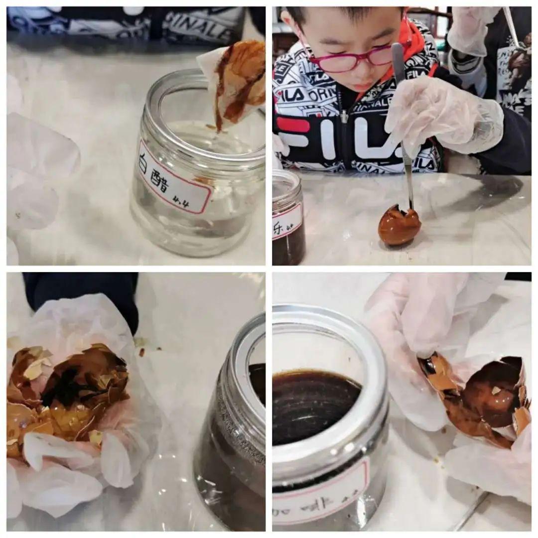 【家长有意思】牵一只蜗牛去散步图片_524287 【家长有意思】牵一只蜗牛去散步图片_524287