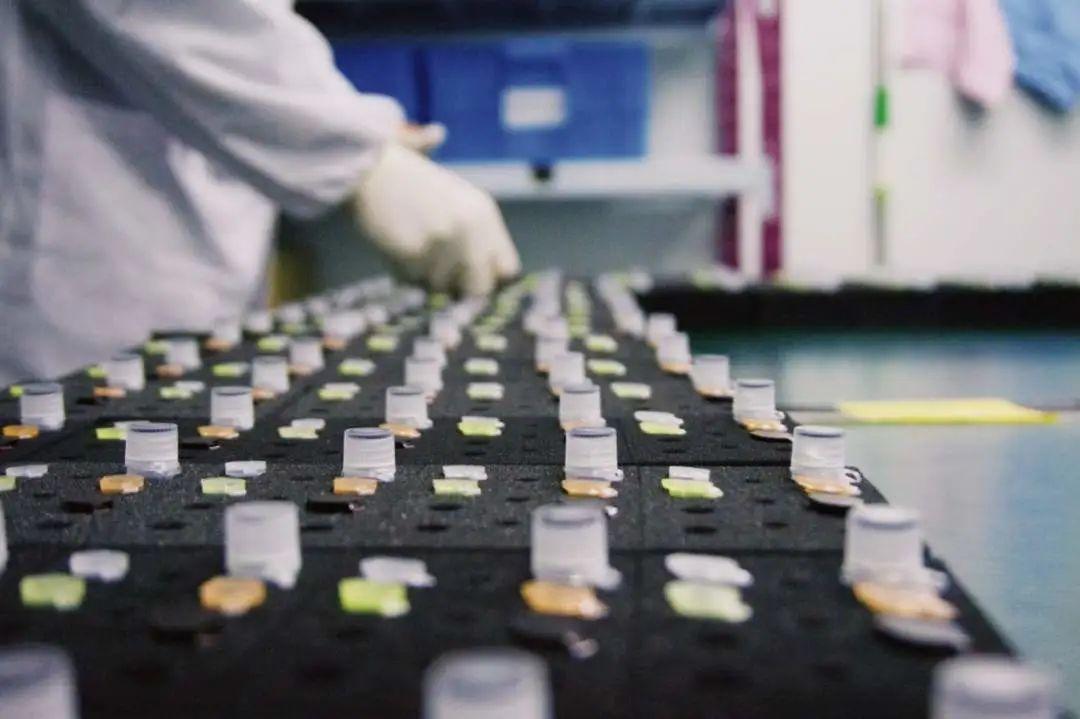 疫情特辑 | IB科学学子:新型肺炎科普图片_15 疫情特辑 | IB科学学子:新型肺炎科普图片_15