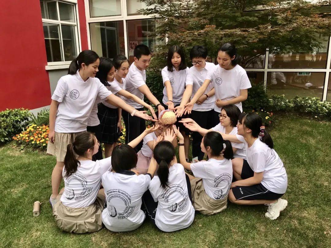 【2020届DP学子风采录】用显微镜看世界——从渺小细胞到漫漫人生图片_16383 【2020届DP学子风采录】用显微镜看世界——从渺小细胞到漫漫人生图片_16383