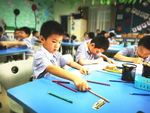 Touching the World Here——国际部PYP社团一览图片_31