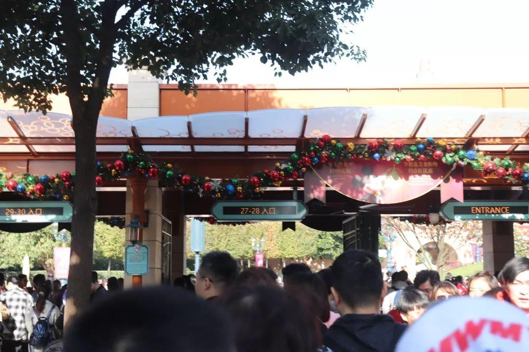 秋日童话 | 浦东校区组织秋游活动图片_255