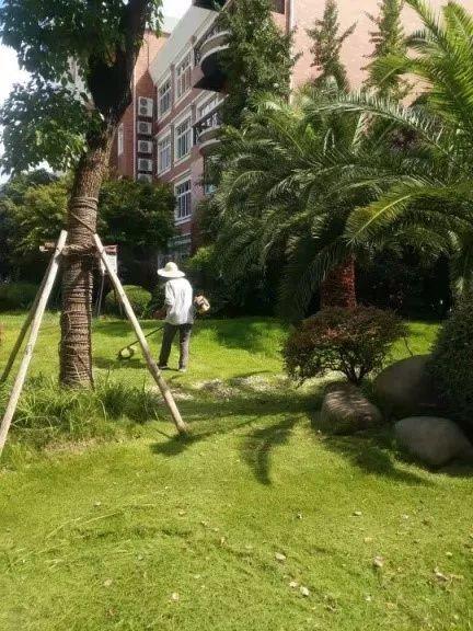 开学啦,领科与你不见不散~附送报到日指南图片_1023 开学啦,领科与你不见不散~附送报到日指南图片_1023
