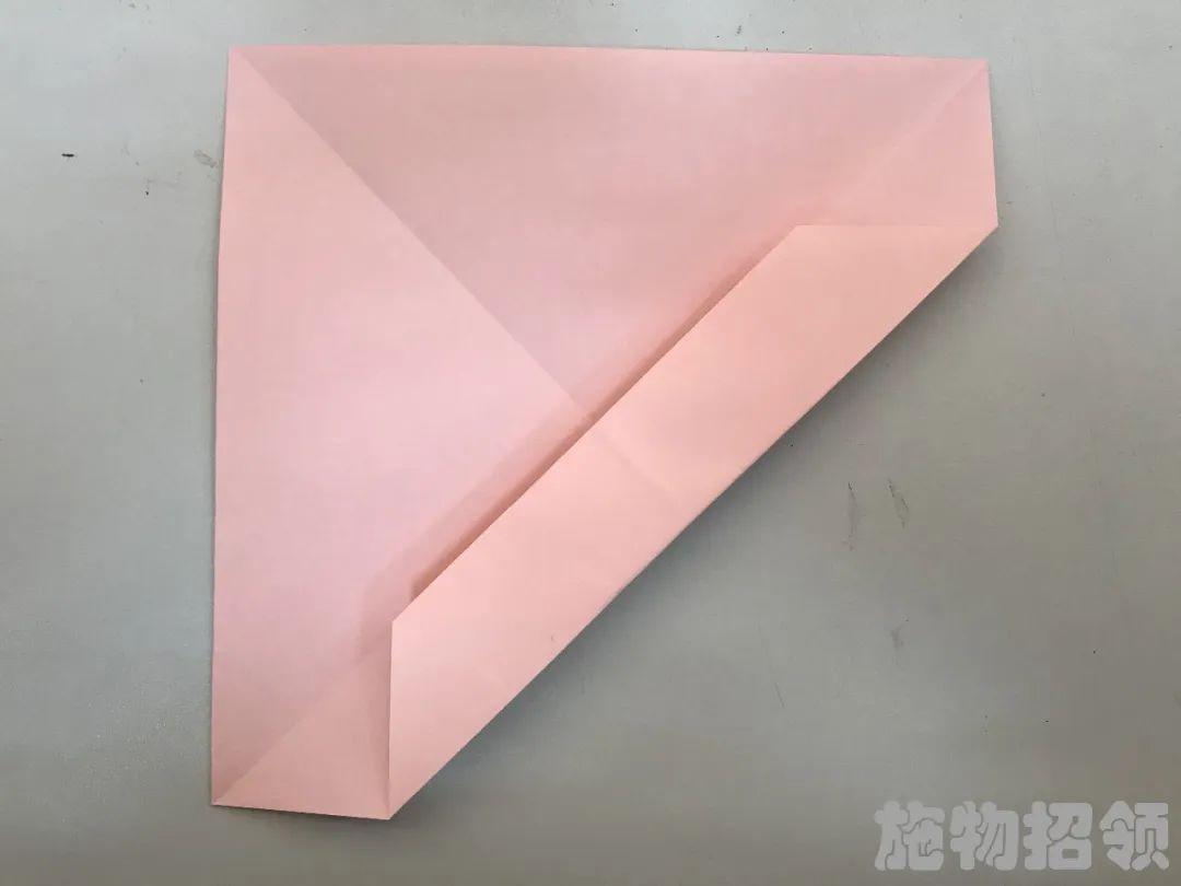 【施物招领】少年，你想做“飞猪”吗？图片_68719476735
