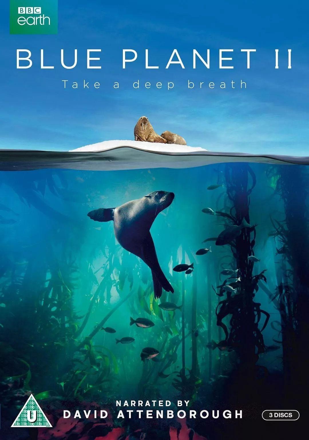 Life education: 15 nature documentaries to watch图片_127