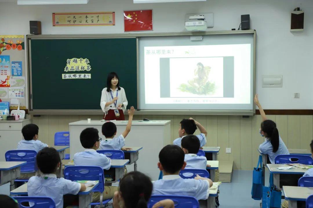 影响世界的中国植物  ——尚德航头校区“根系文化”跨学科综合探究课程（二）图片_4835703278458516698824703