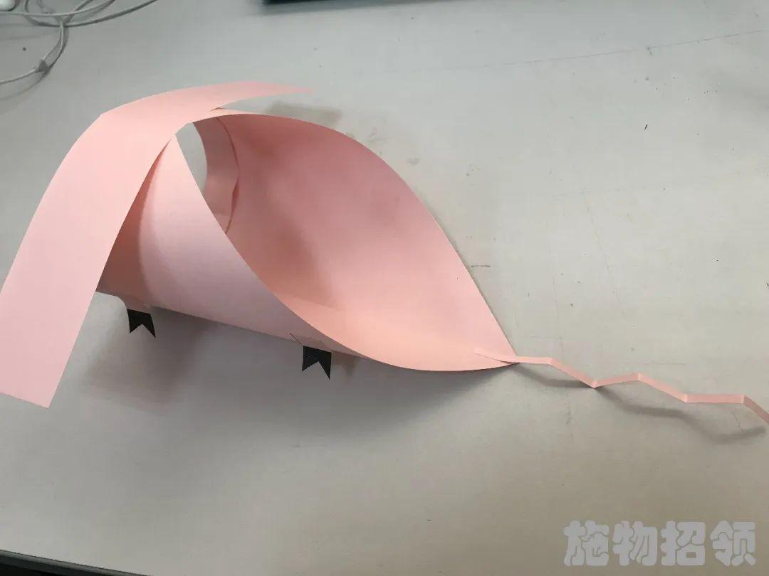 【施物招领】少年，你想做“飞猪”吗？图片_70368744177663