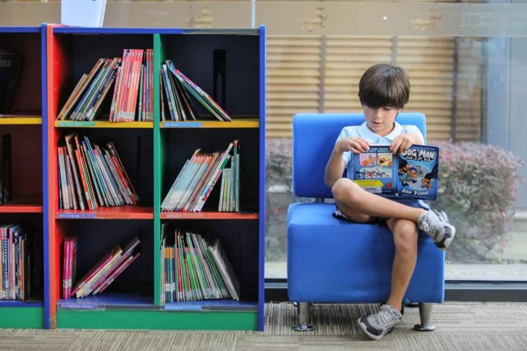 WISS Book Week, a Week Full of Joy and Reading I西华阅读周，愉悦和阅读交融的一周图片_8191
