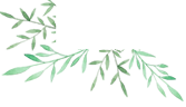 3月份扫码阅读图片_7