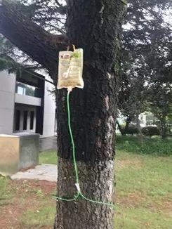 开学啦,领科与你不见不散~附送报到日指南图片_8191 开学啦,领科与你不见不散~附送报到日指南图片_8191