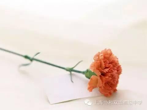 协和高中祝母亲们节日快乐！ Happy Mother's Day图片_3