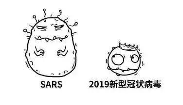 共抗疫情，人人有责（G1同学篇）图片_3