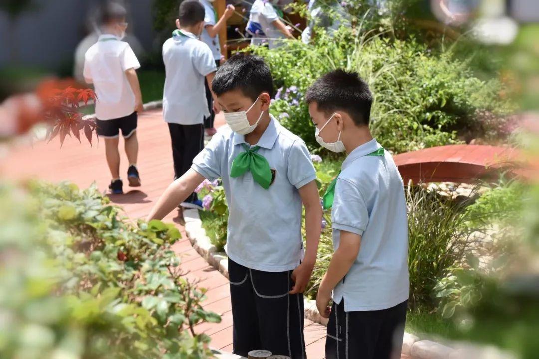 孩子们都回来了!这令人难忘的一天图片_4294967295 孩子们都回来了!这令人难忘的一天图片_4294967295