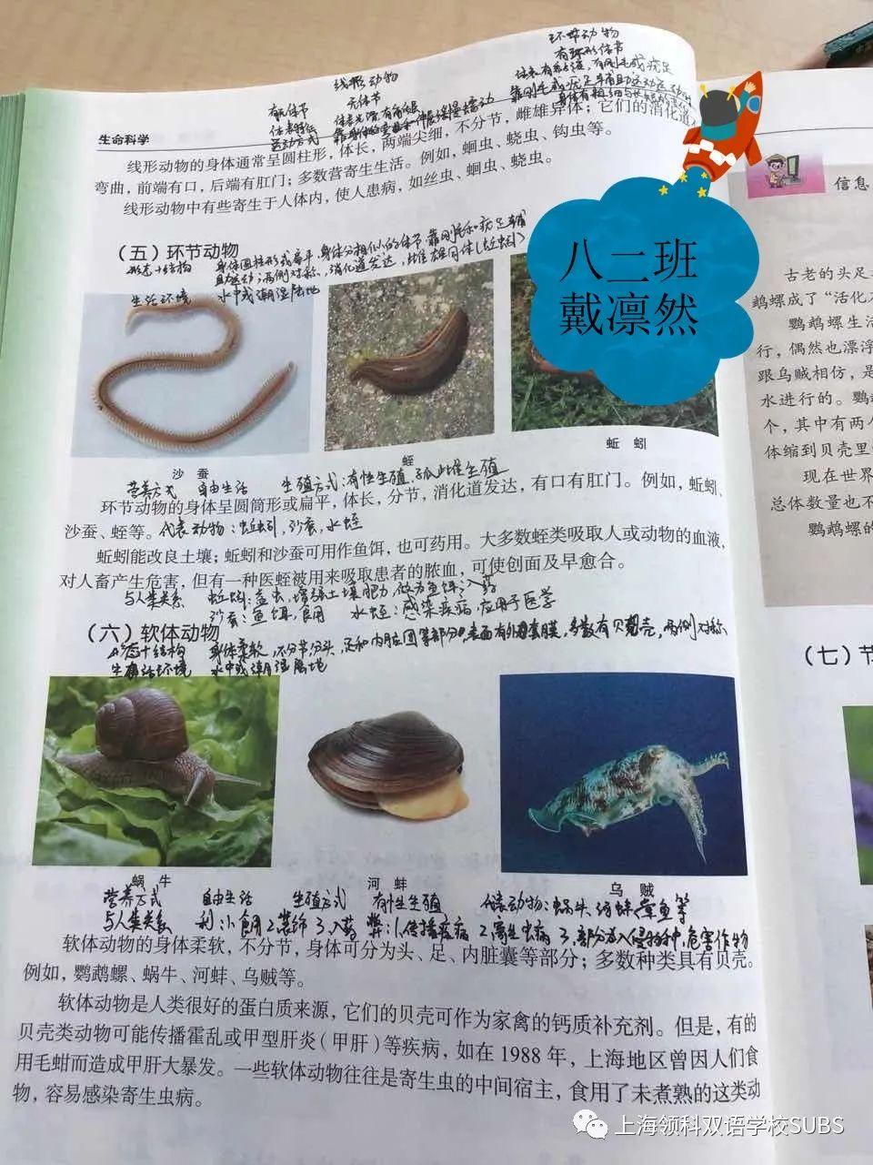 你的优秀有“记”可寻——领科双语学子课堂笔记大赏图片_288230376151711743 你的优秀有“记”可寻——领科双语学子课堂笔记大赏图片_288230376151711743