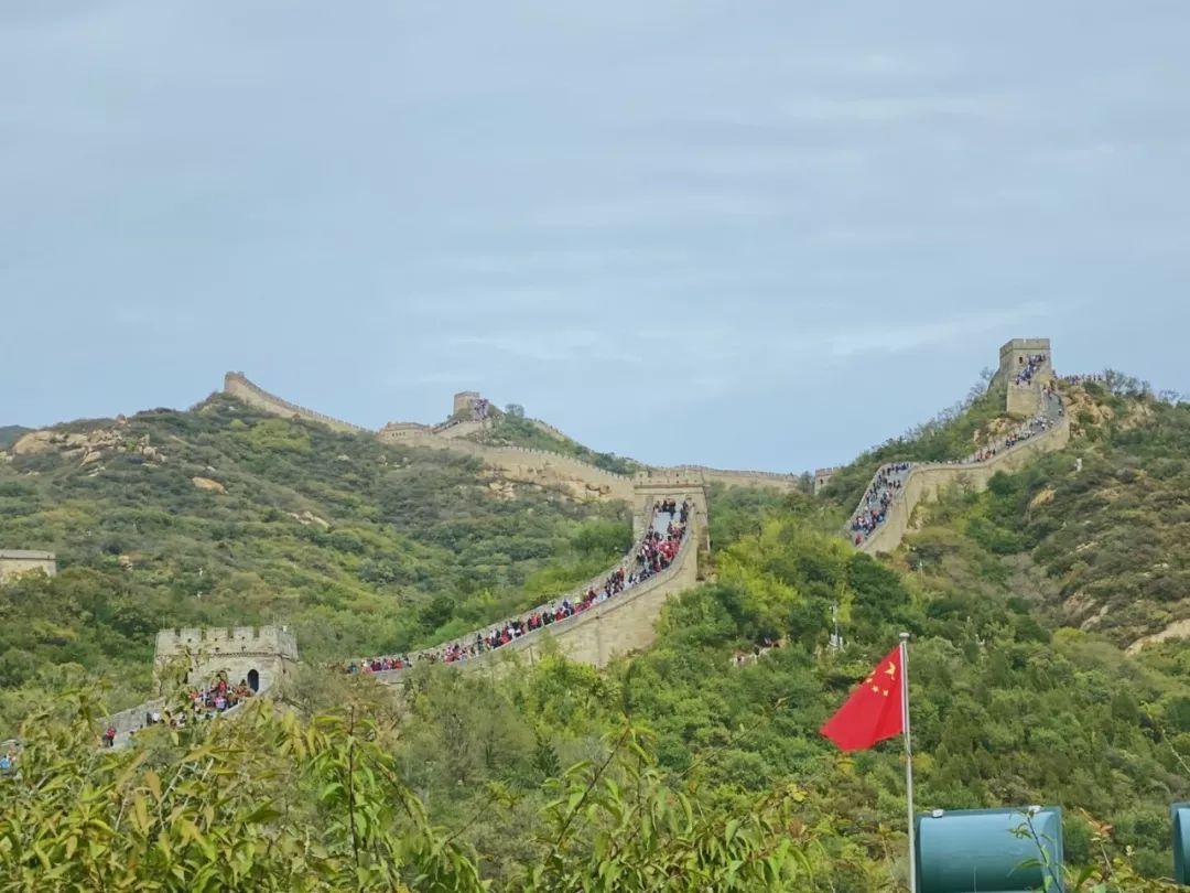 心怀人文,行走鲁京 | 记西南位育中学国际部2019学年鲁京人文行行走活动 3图片_15 心怀人文,行走鲁京 | 记西南位育中学国际部2019学年鲁京人文行行走活动 3图片_15