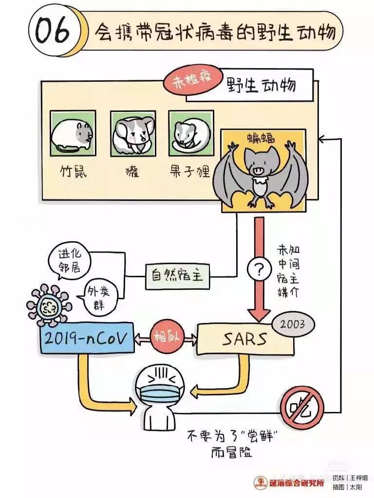关于新型冠状病毒的小知识及倡议书图片_63 关于新型冠状病毒的小知识及倡议书图片_63