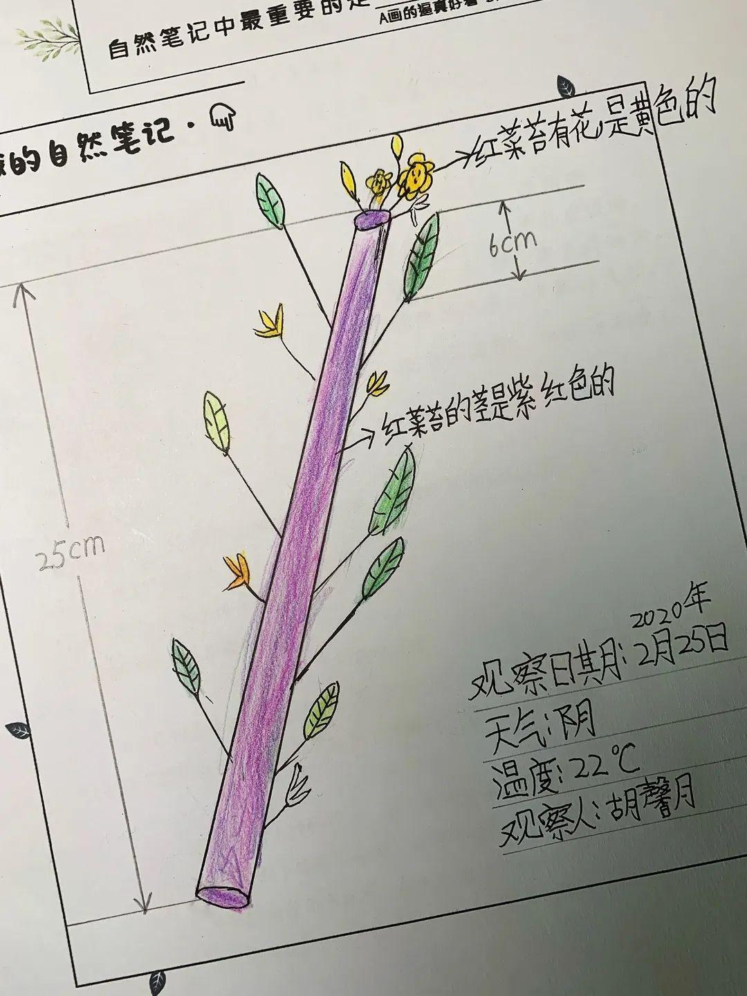 玉琢成器 人学知义——记尚德航头校区之“云”端战“疫”图片_1125899906842623 玉琢成器 人学知义——记尚德航头校区之“云”端战“疫”图片_1125899906842623