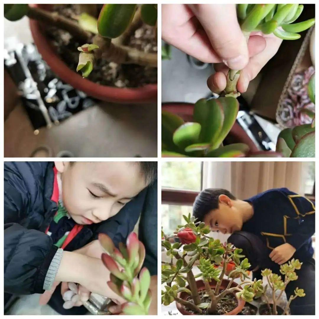 【家长有意思】牵一只蜗牛去散步图片_65535 【家长有意思】牵一只蜗牛去散步图片_65535