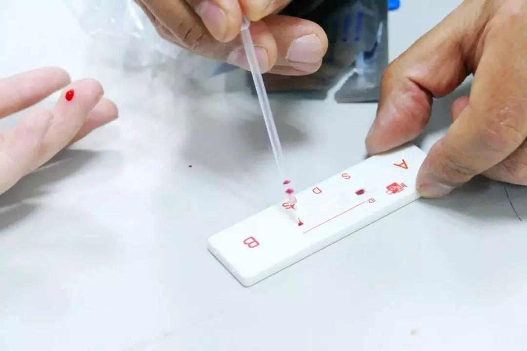 毕业生特辑 |徐之凡，在剑桥大学开始我的兽医梦！图片_7