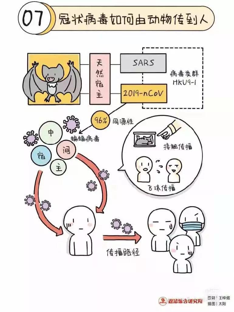 关于新型冠状病毒的小知识及倡议书图片_127 关于新型冠状病毒的小知识及倡议书图片_127
