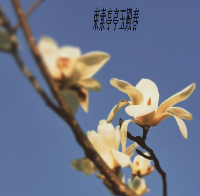 表彰 | 优秀线上学习者表彰(二)图片_20769187434139310514121985316880383 表彰 | 优秀线上学习者表彰(二)图片_20769187434139310514121985316880383