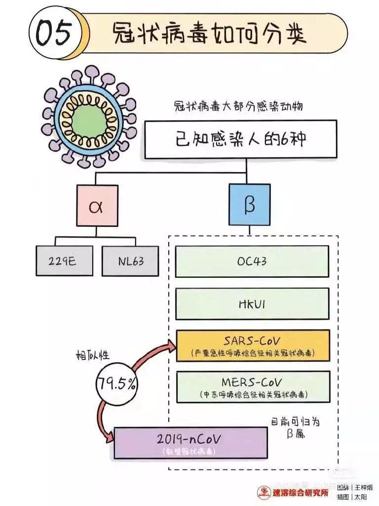 关于新型冠状病毒的小知识及倡议书图片_31 关于新型冠状病毒的小知识及倡议书图片_31