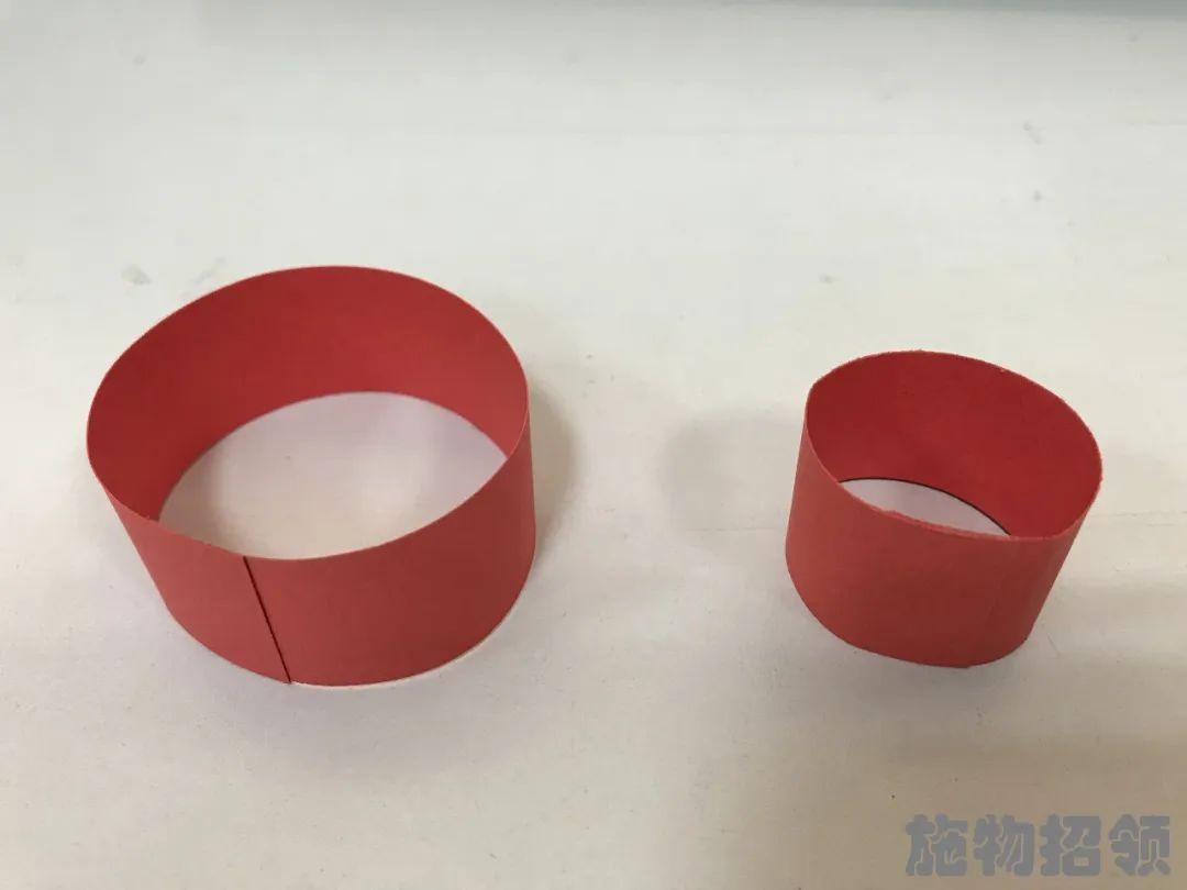 【施物招领】少年，你想做“飞猪”吗？图片_134217727