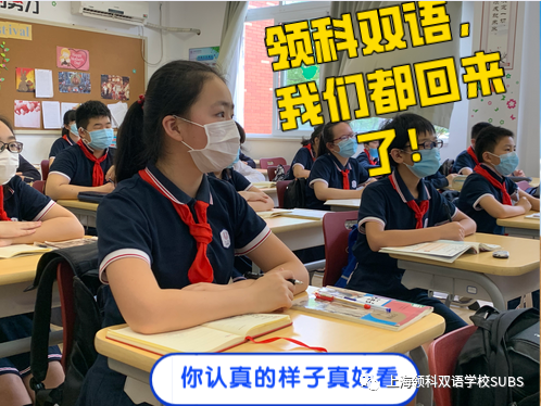 春风十里，不如校园有你 || 领科双语，我们都回来了！图片_34359738367