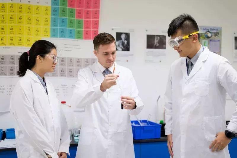 Educational Insights | Think Globally, Act Locally图片_63