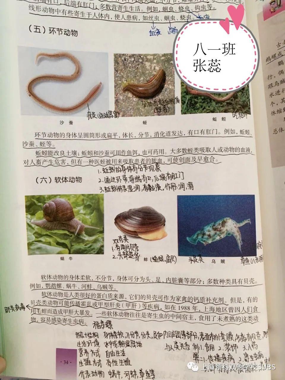 你的优秀有“记”可寻——领科双语学子课堂笔记大赏图片_72057594037927935