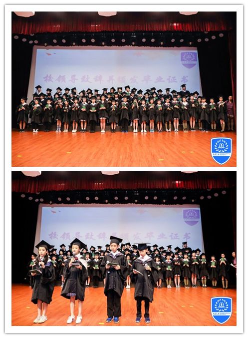 Never say goodbye……图片_262143