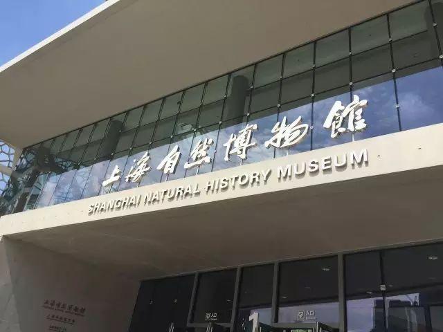 【博物课堂】开启自然的百宝箱图片_1 【博物课堂】开启自然的百宝箱图片_1
