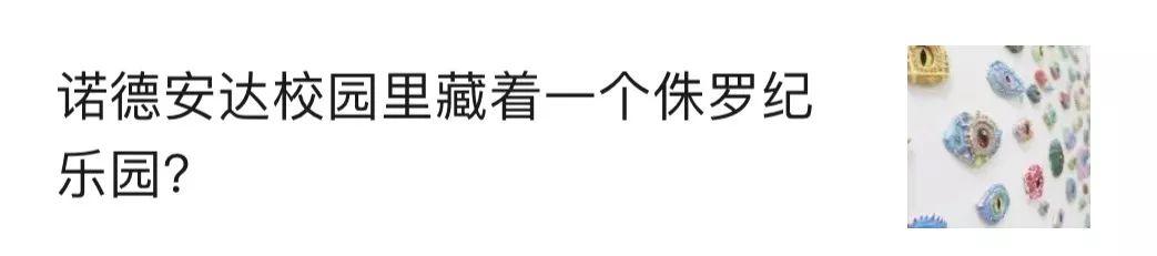 小小少年献爱心 众志成城防疫情—诺德安达24名小学生支援湖北当阳疫情防控 NACIS supported Hubei图片_4095 小小少年献爱心 众志成城防疫情—诺德安达24名小学生支援湖北当阳疫情防控 NACIS supported Hubei图片_4095