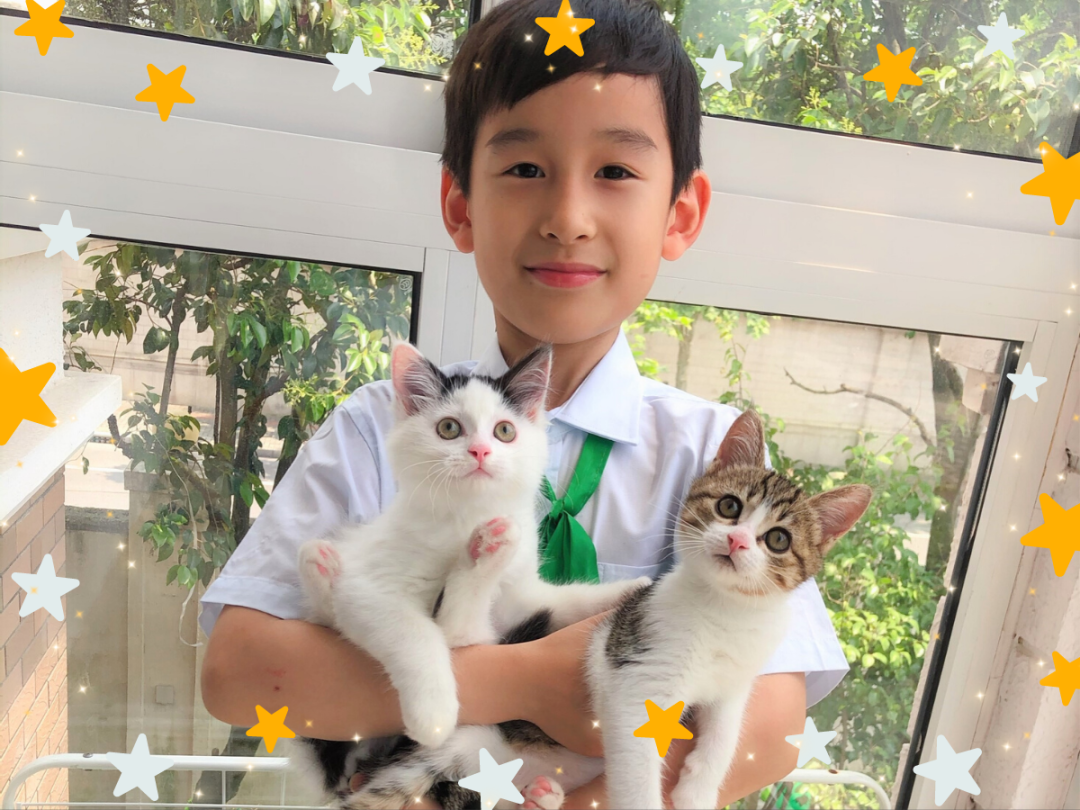 雏鹰振翅归来日,美德少年扬帆时 | SUIS 5th Virtues Representatives Election图片_4095 雏鹰振翅归来日,美德少年扬帆时 | SUIS 5th Virtues Representatives Election图片_4095