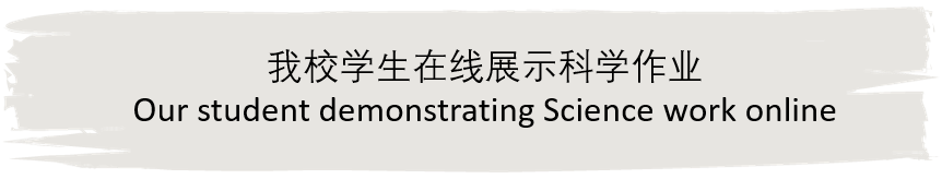 学术专栏-创新与挑战并存 北京诺德安达线上教学分享 | NAS Beijing Online Teaching图片_3