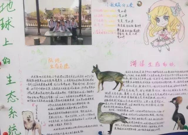 春季行走课程——上海上大附外中图片_72057594037927935