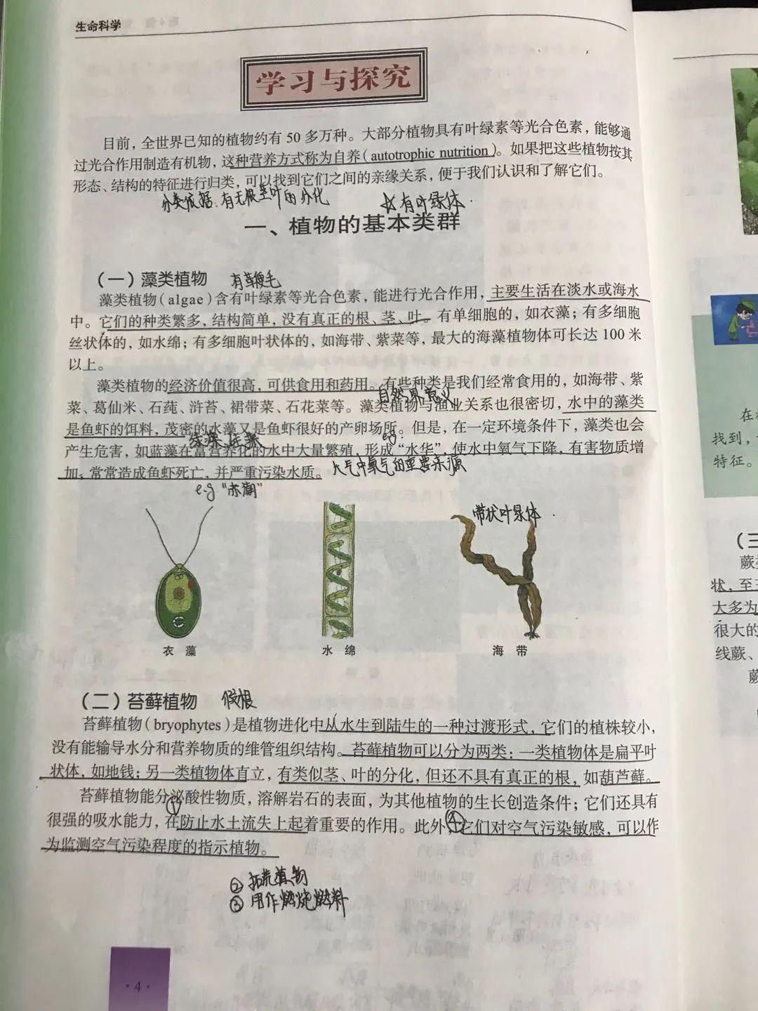 表彰 | 优秀线上学习者表彰（一）图片_2097151