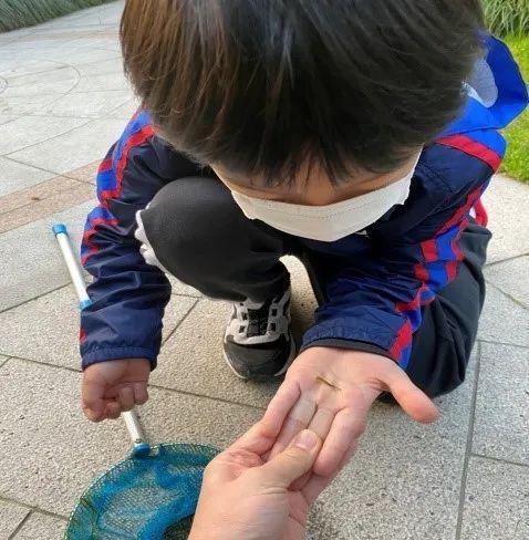 当PBL遇见绘本阅读图片_32767 当PBL遇见绘本阅读图片_32767